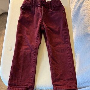GAP Kids Maroon Jeans